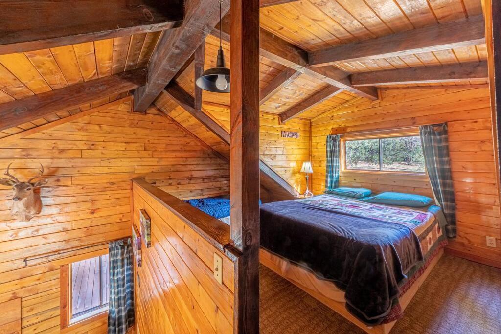 Forest Cabin 1 Hunters Blind ペイソン エクステリア 写真