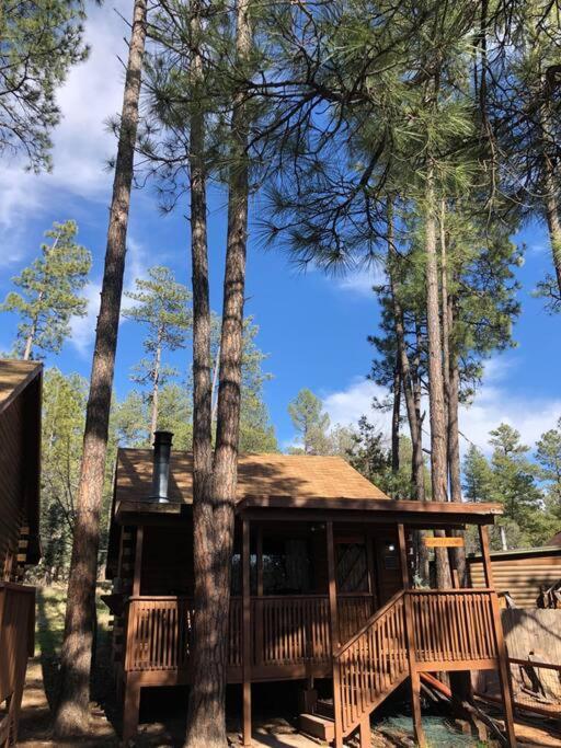 Forest Cabin 1 Hunters Blind ペイソン エクステリア 写真